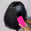 HD Lace Human Hair Wigs