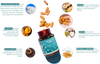 JOINT EASE FORMULA 30+
