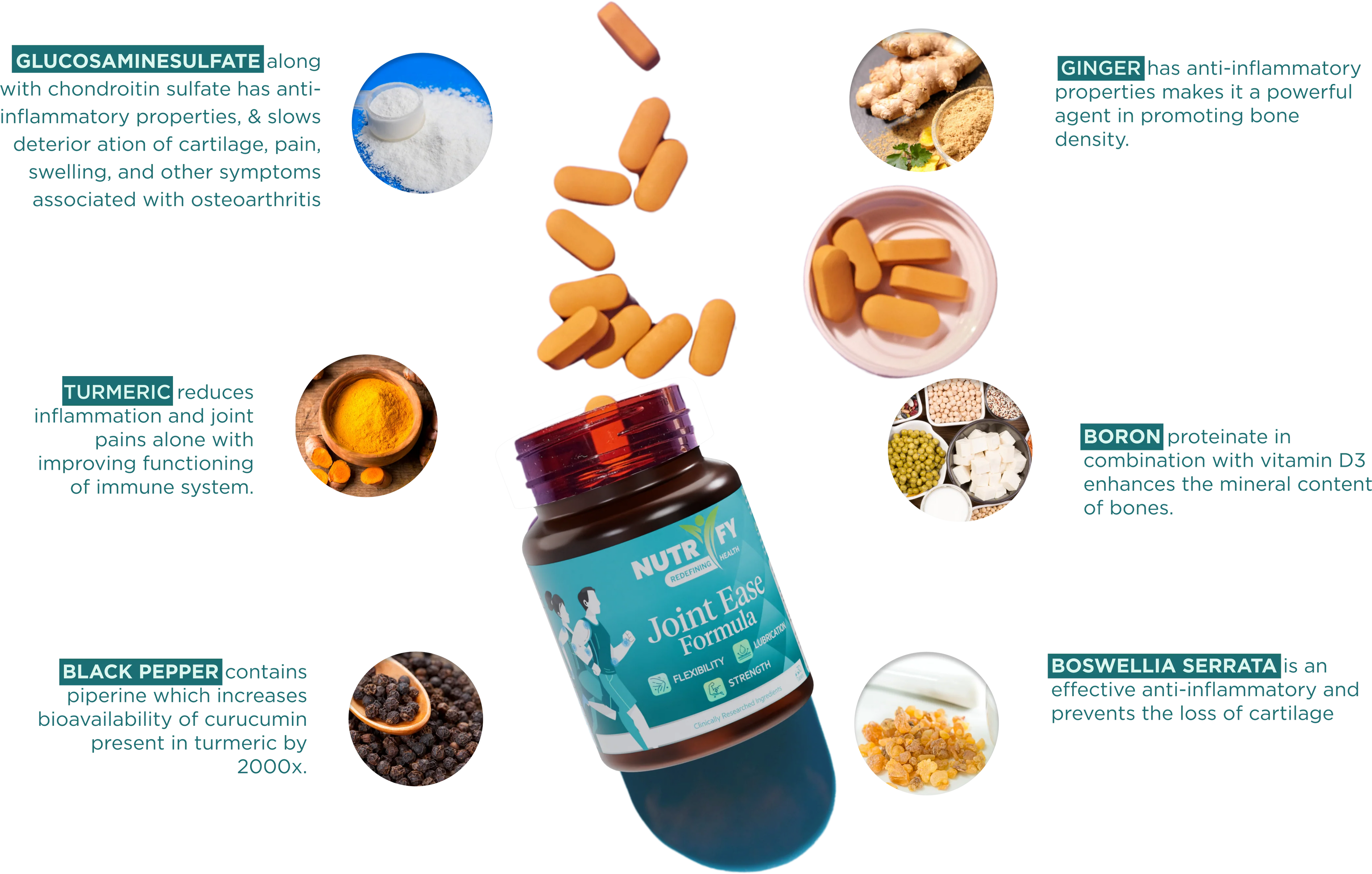 Joint Ease FORMULA 30+ INGREDIENTS