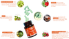 Immunity BOOSTER 30+